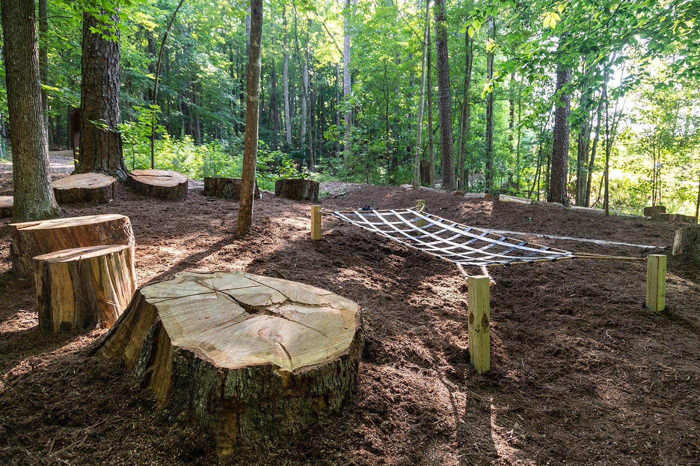 Stump jump area in the park