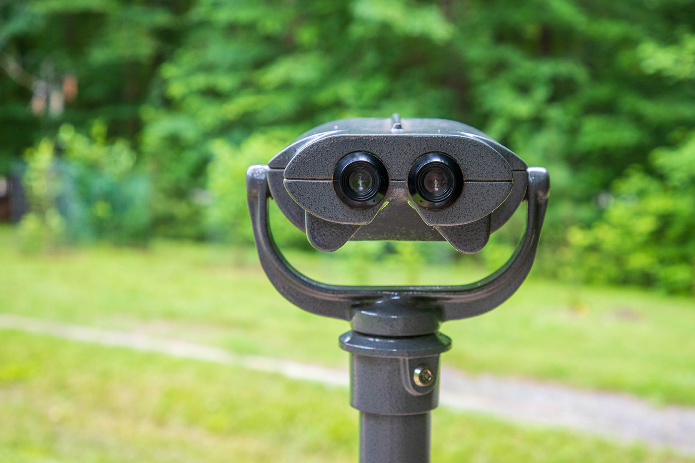 Birding scope at the binocular station
