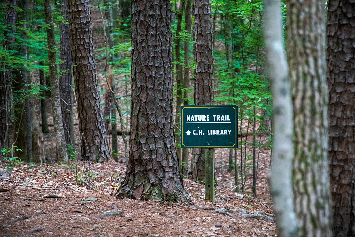 Hiking trail sign in the woods