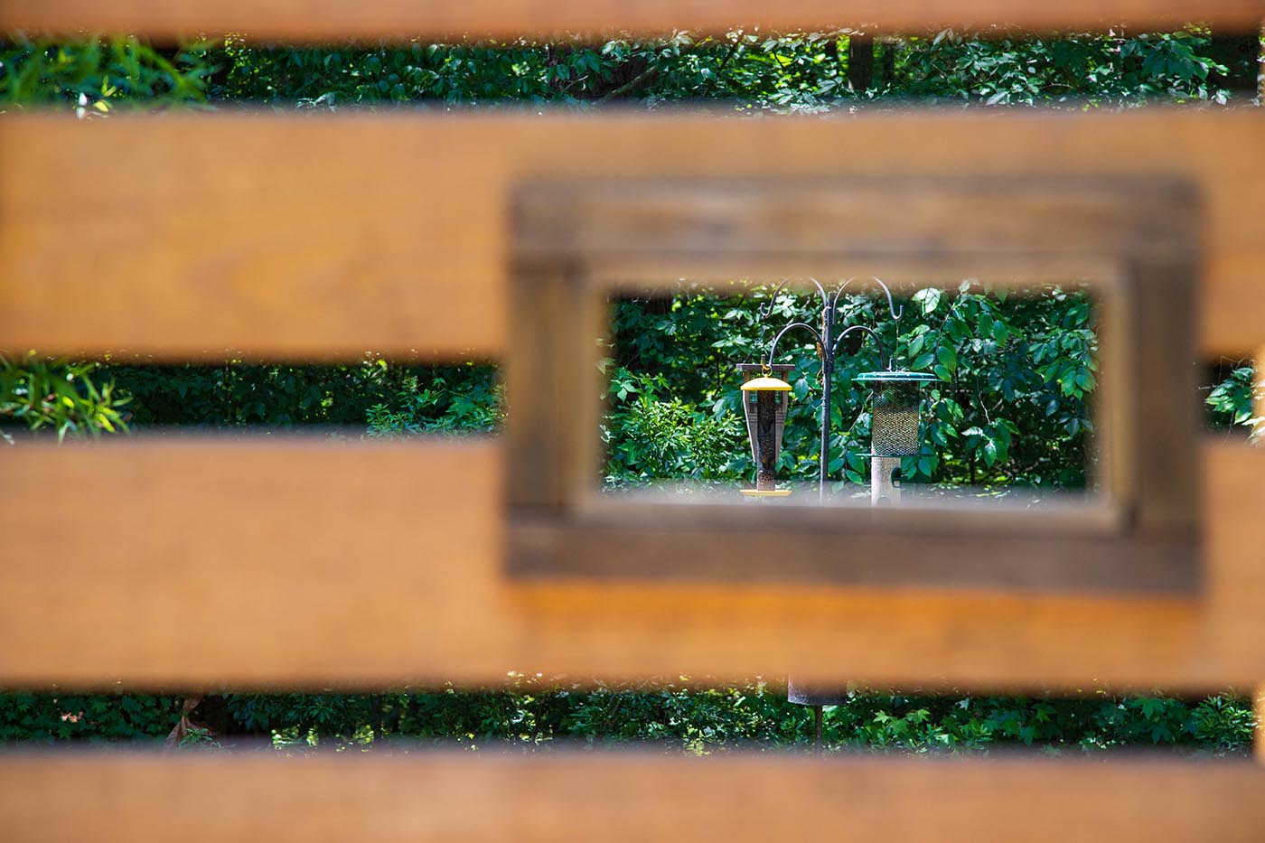 Ta Da - the Bird Blind art piece outside of the library from the perspective of the rectangular view built into the wood