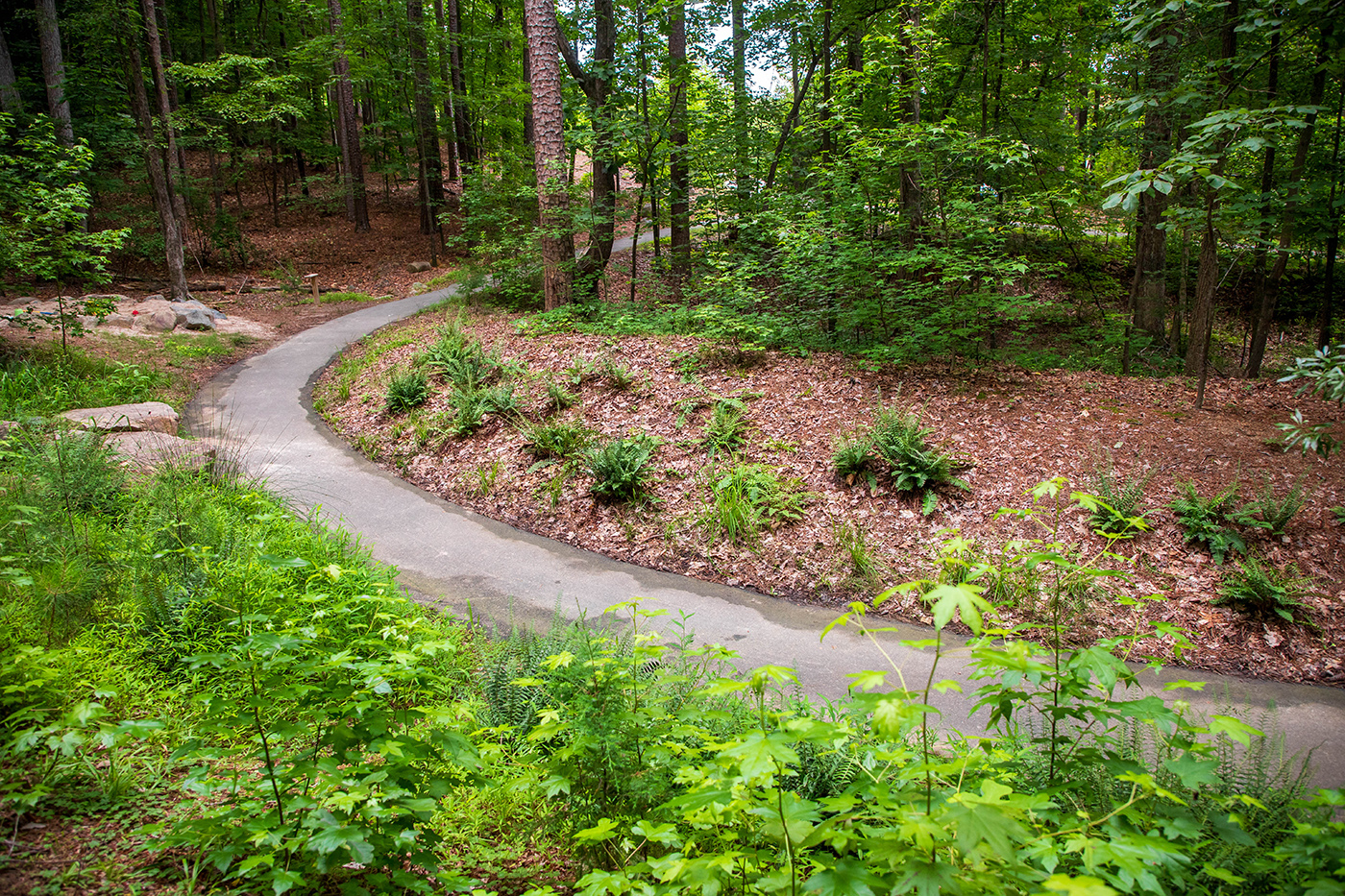 Image of the paved trail with lush greenery on either side of path