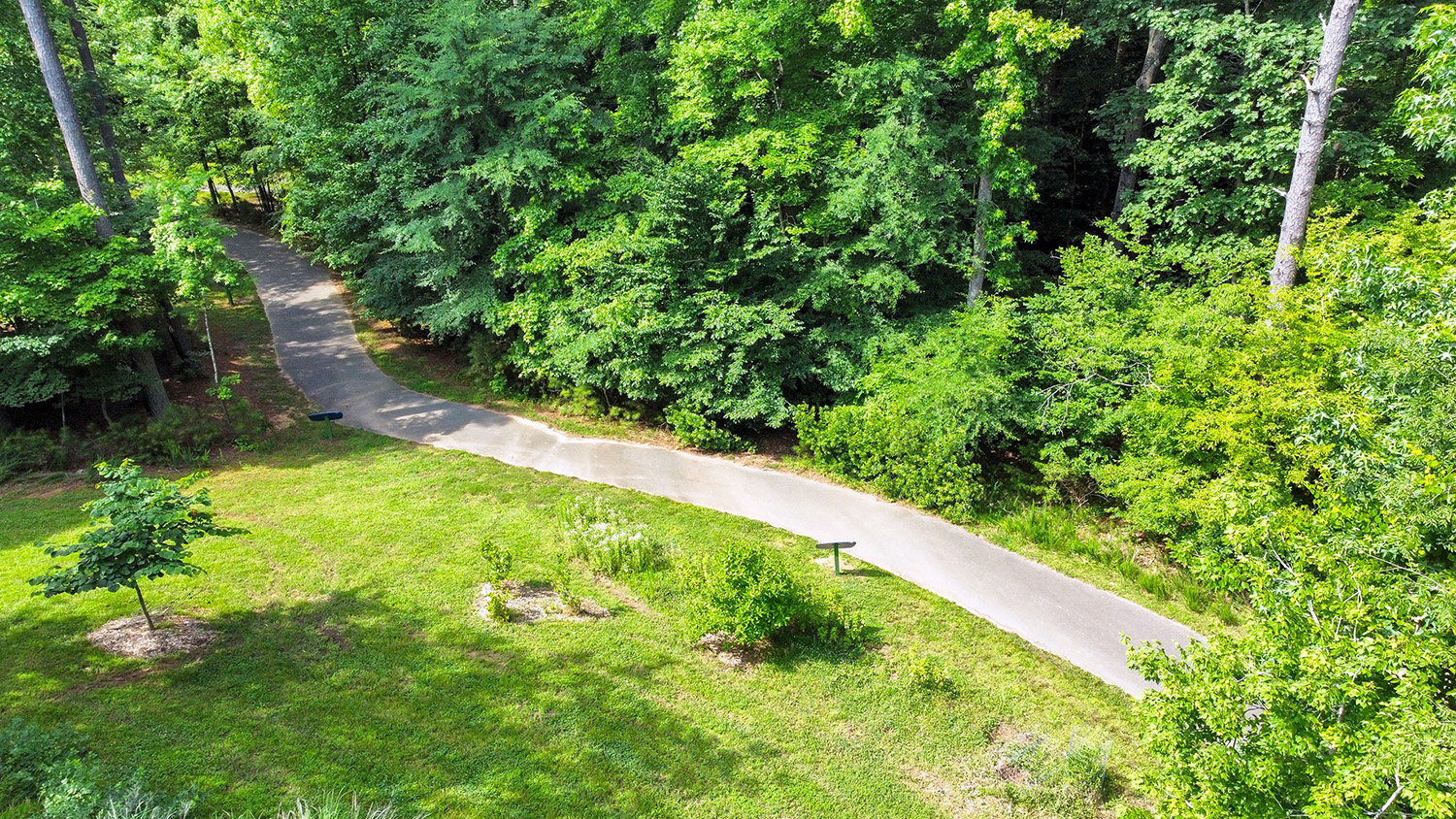 Aerial view of the paved trail with lush greenery on either side of path