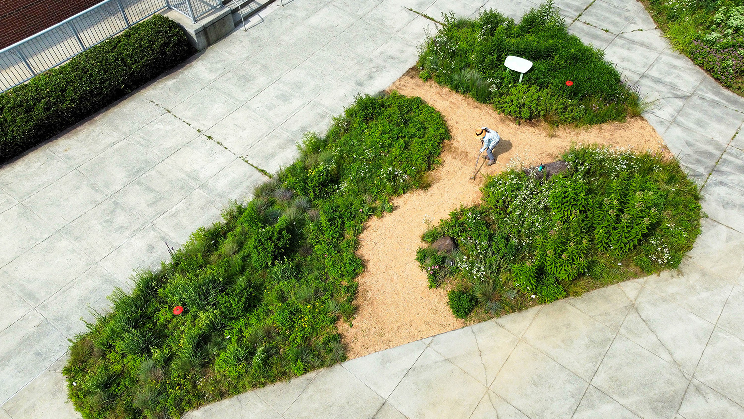 aerial view of the pollinator garden