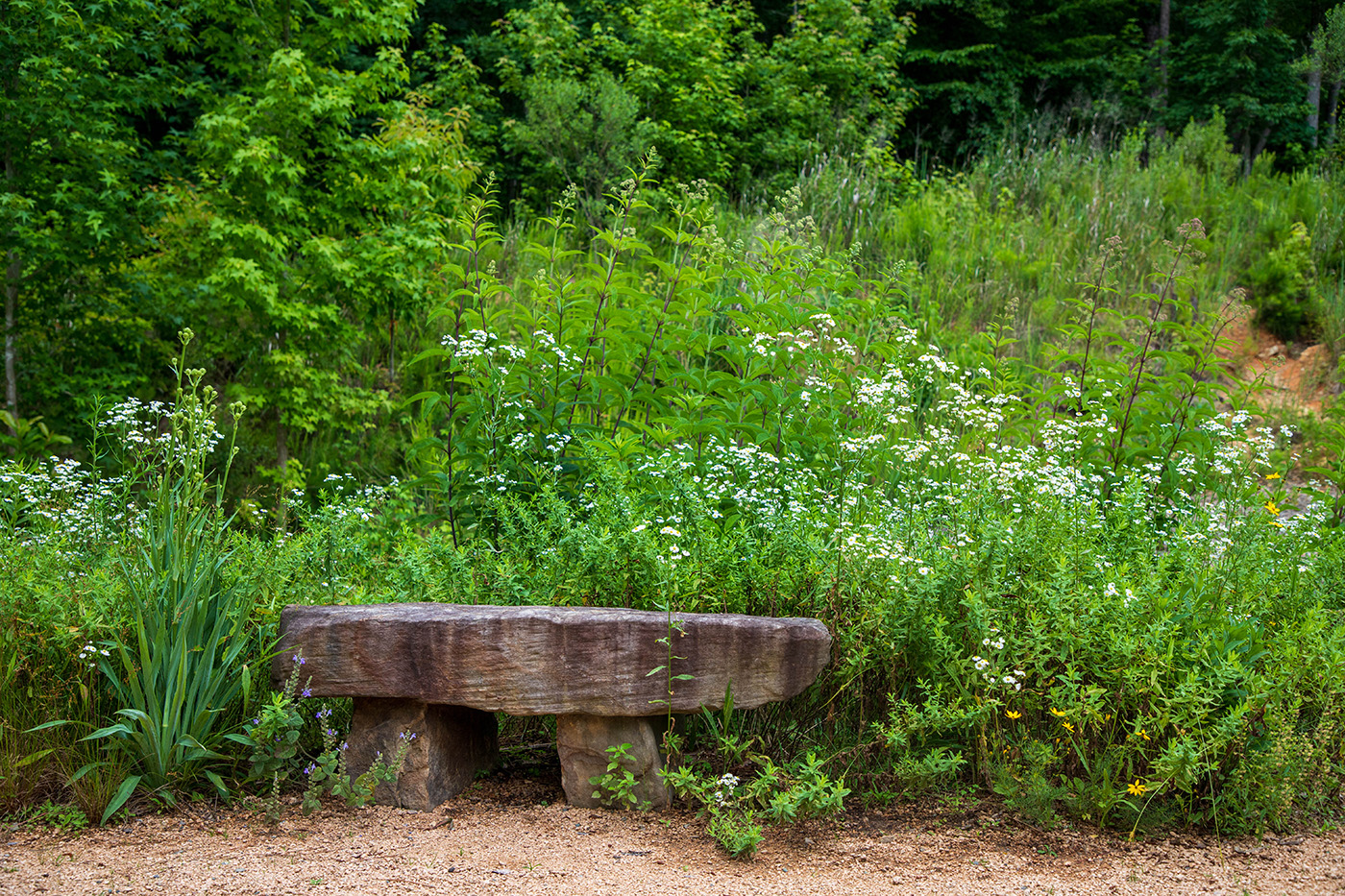 Pollinator garden image showing stone seat