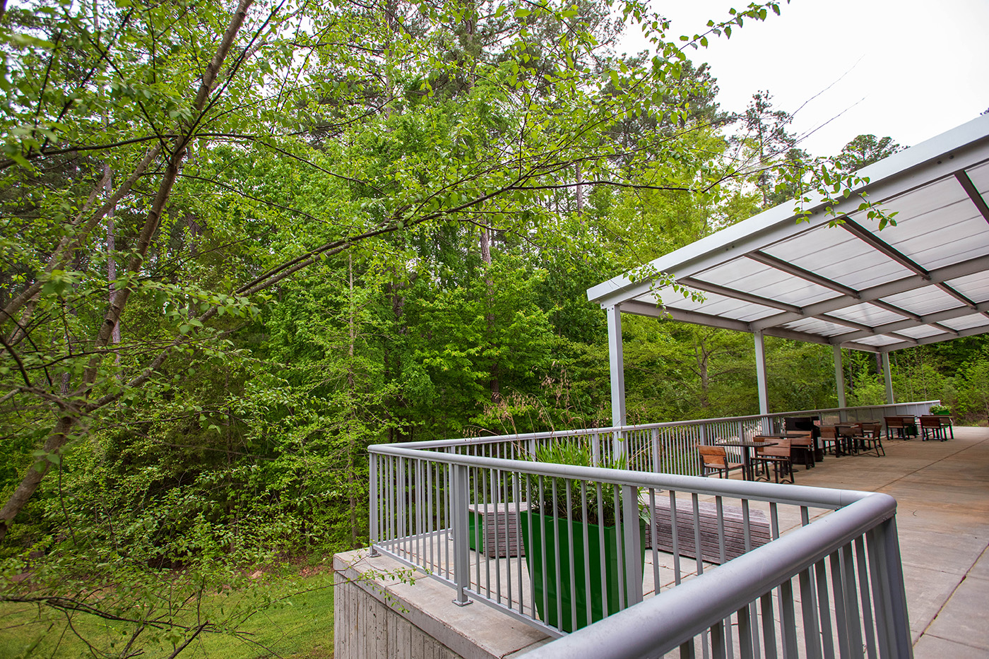 Patio image showing the forest view