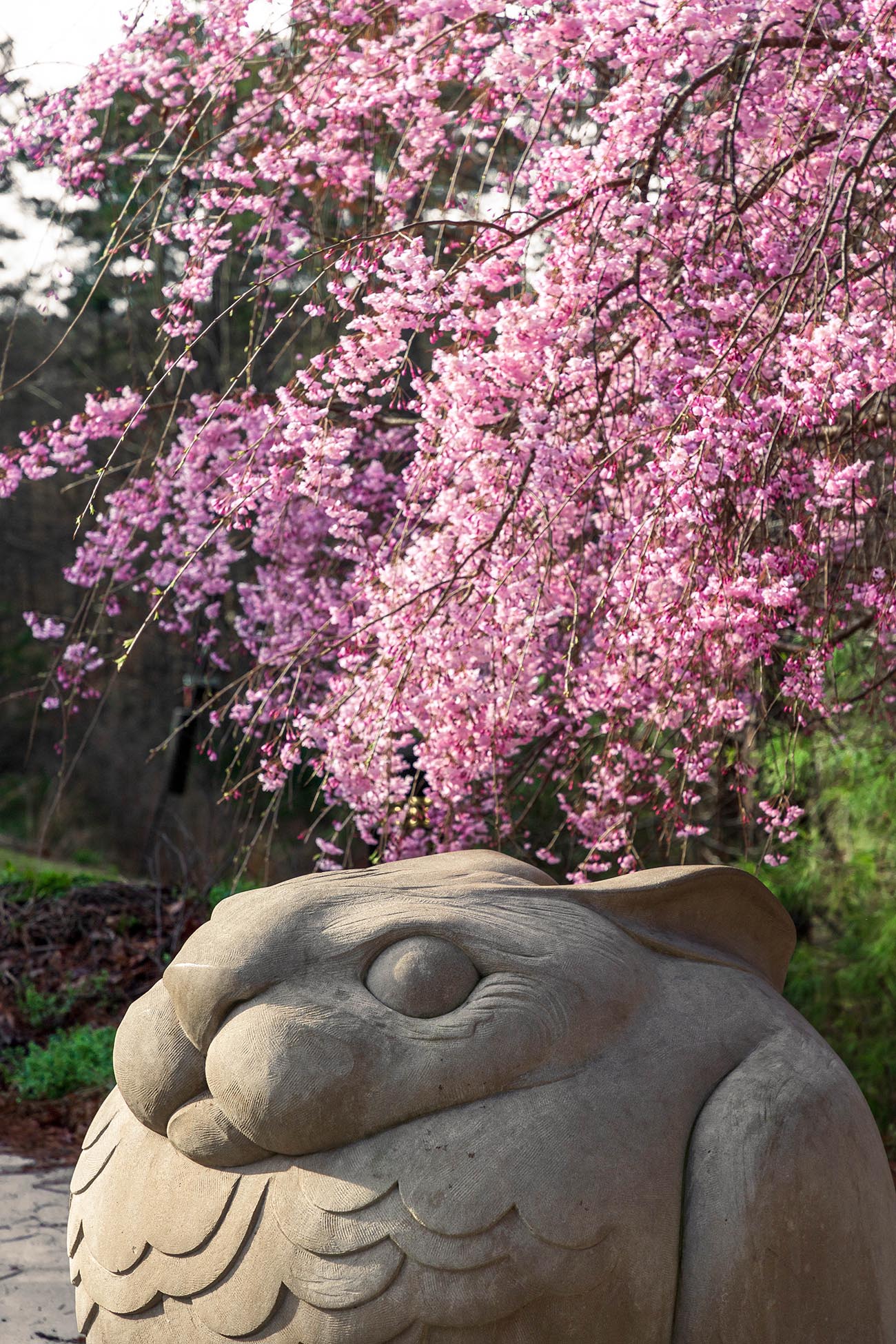 Large rabbit statue sitting underneath a flowering tree
