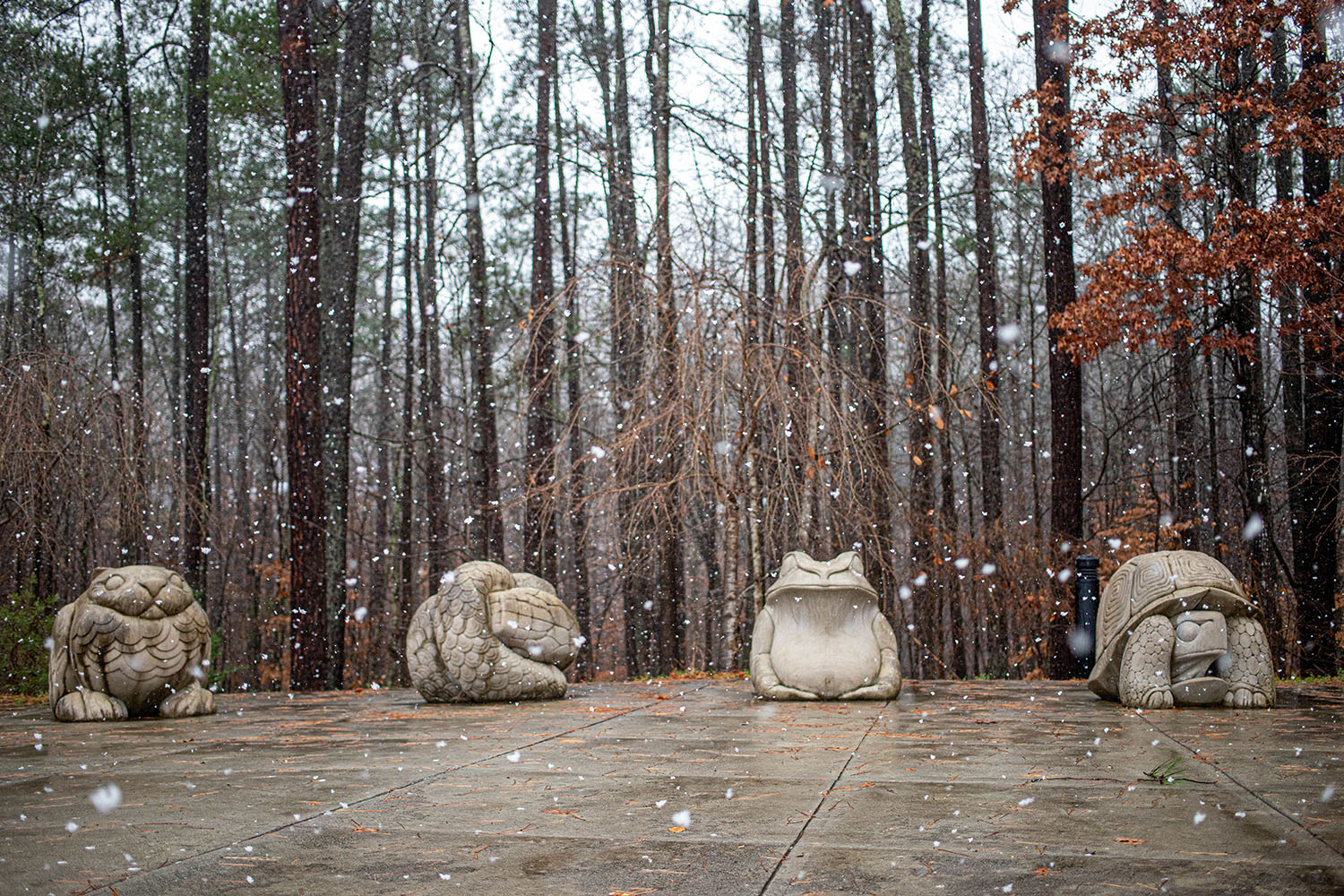 Four animal statues captured in winter while a light snow falls. One statue appears to be a lion, the second a snake, the third a frog, and the fourth a tortoise.