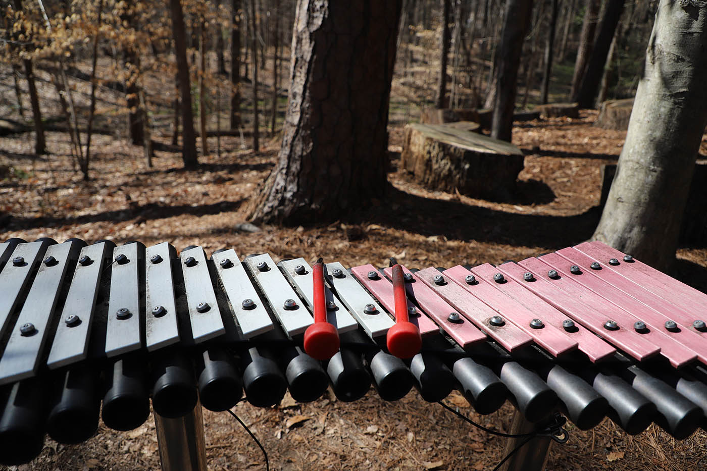xylophone: a part of the park instruments