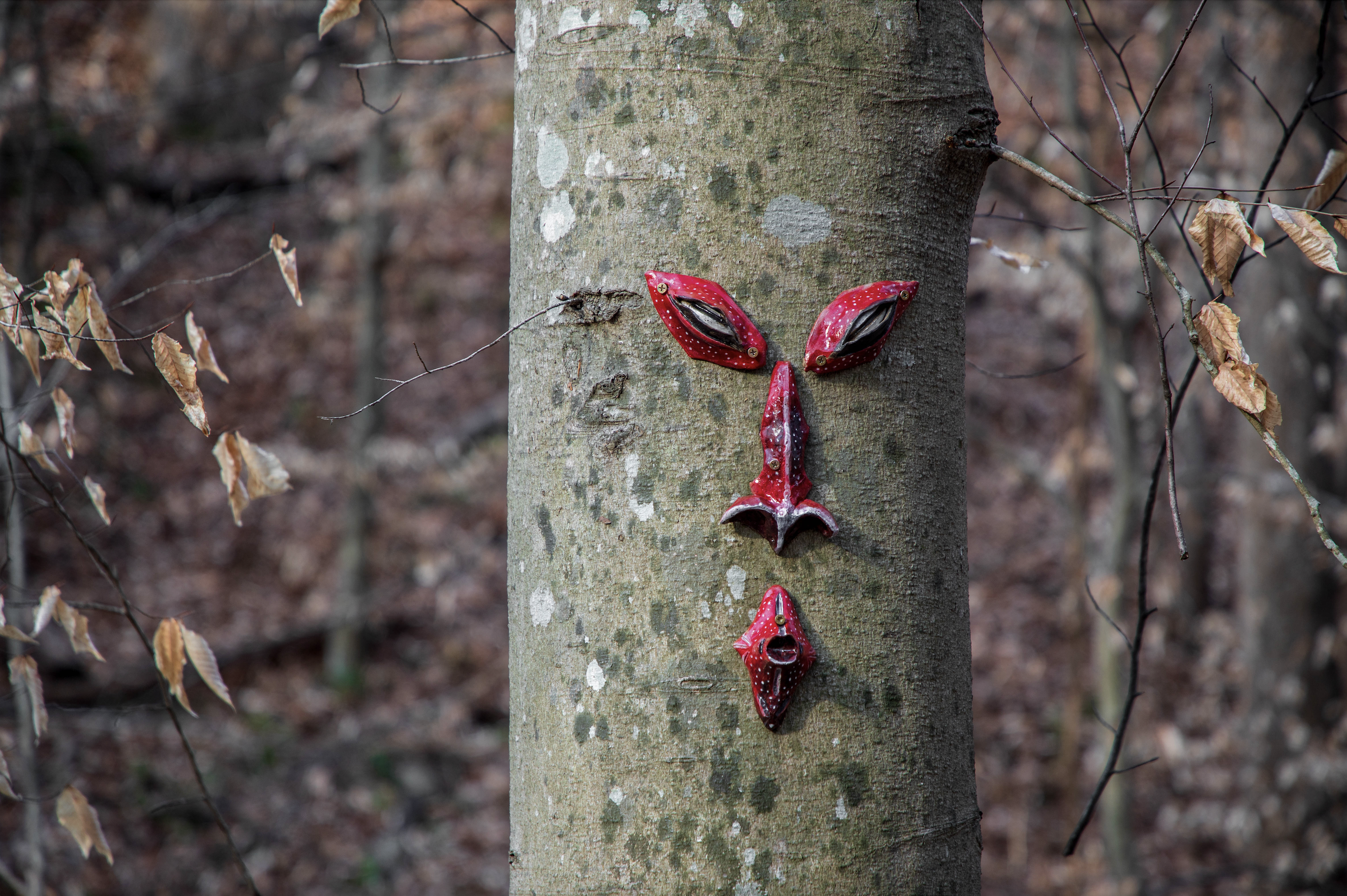tree face