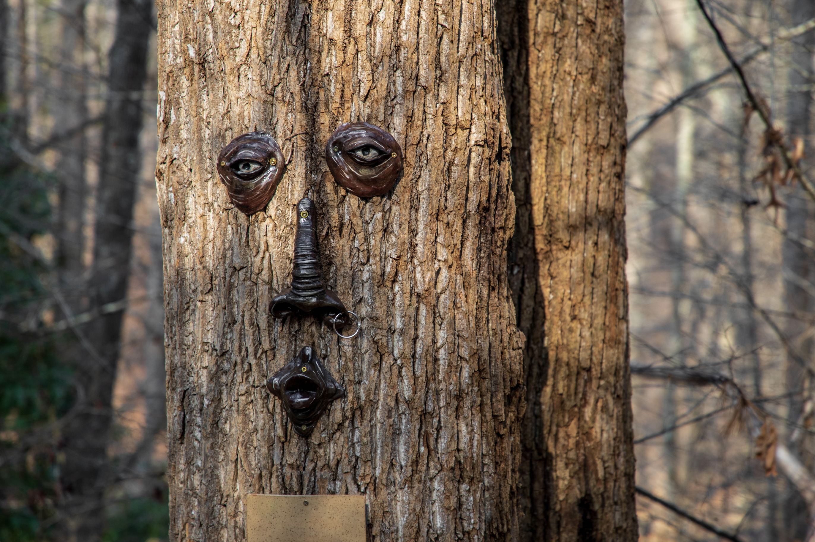 tree face