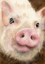 Charlotte's Web  E.B. White banned book trading card art