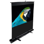 Projection Screen