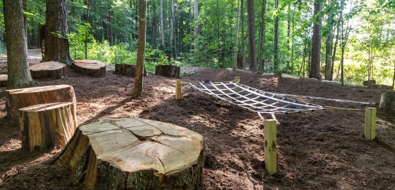 Stump jump area in the park