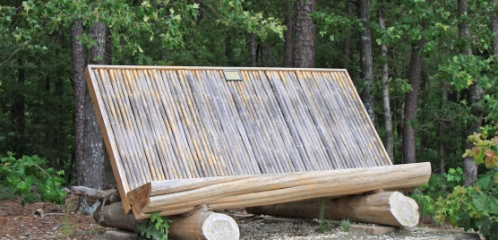 Wooden astronomical bench nestled in the trees