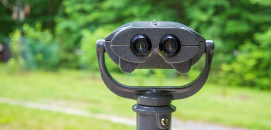 Birding scope at the binocular station