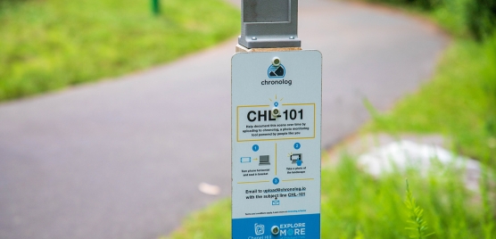 Chronolog situated on path