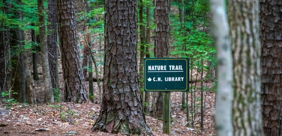 Hiking trail sign in the woods
