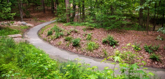 Image of the paved trail with lush greenery on either side of path