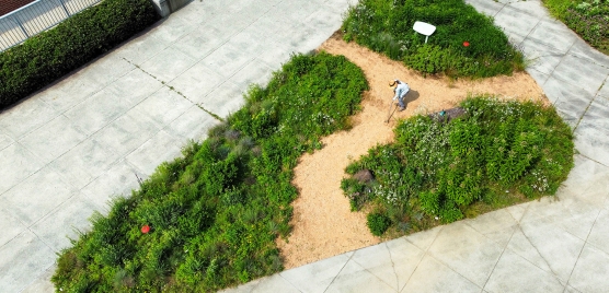 aerial view of the pollinator garden