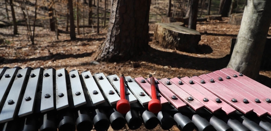 xylophone: a part of the park instruments