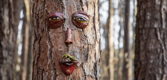 tree face