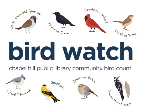 bird watch