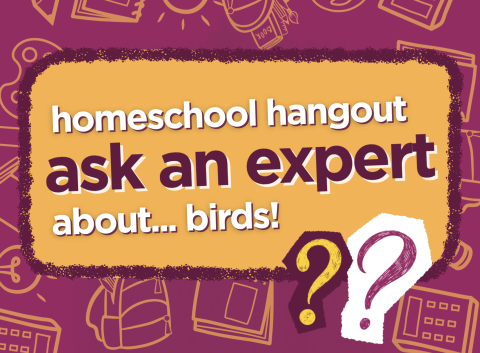 ask an expert: about birds