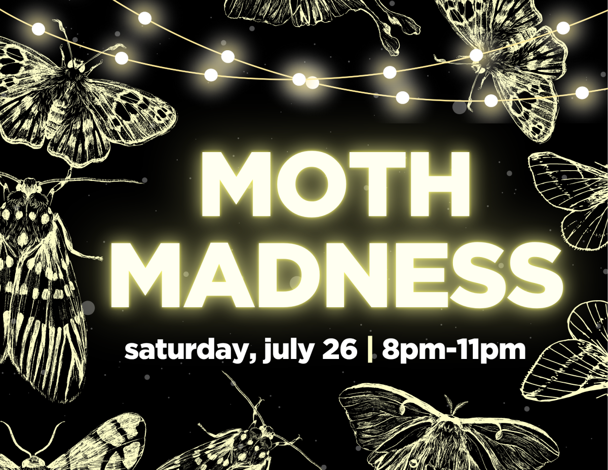 moth madness