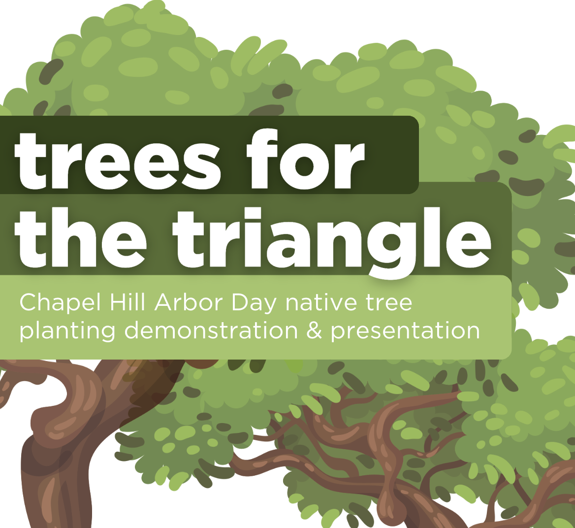 trees for the triangle