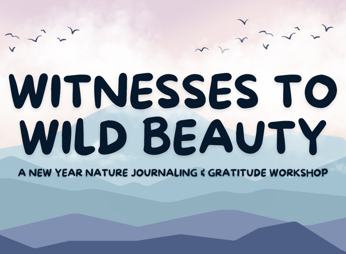nature journaling workshop